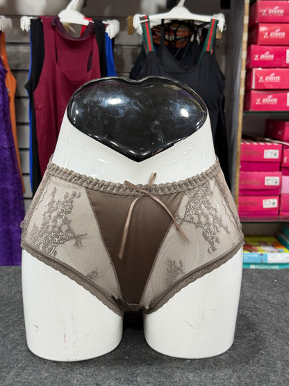 NETTED PANTY - SATIN FABRIC - DUSTY BROWN COLOUR - FULLY TRANSPARENT