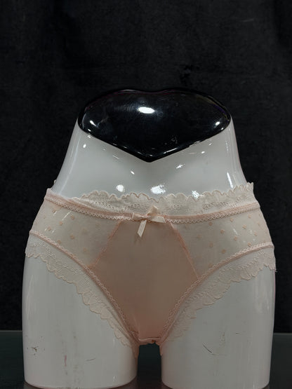 NETTED PANTY - LIGHT PEACH - SATIN FABRIC