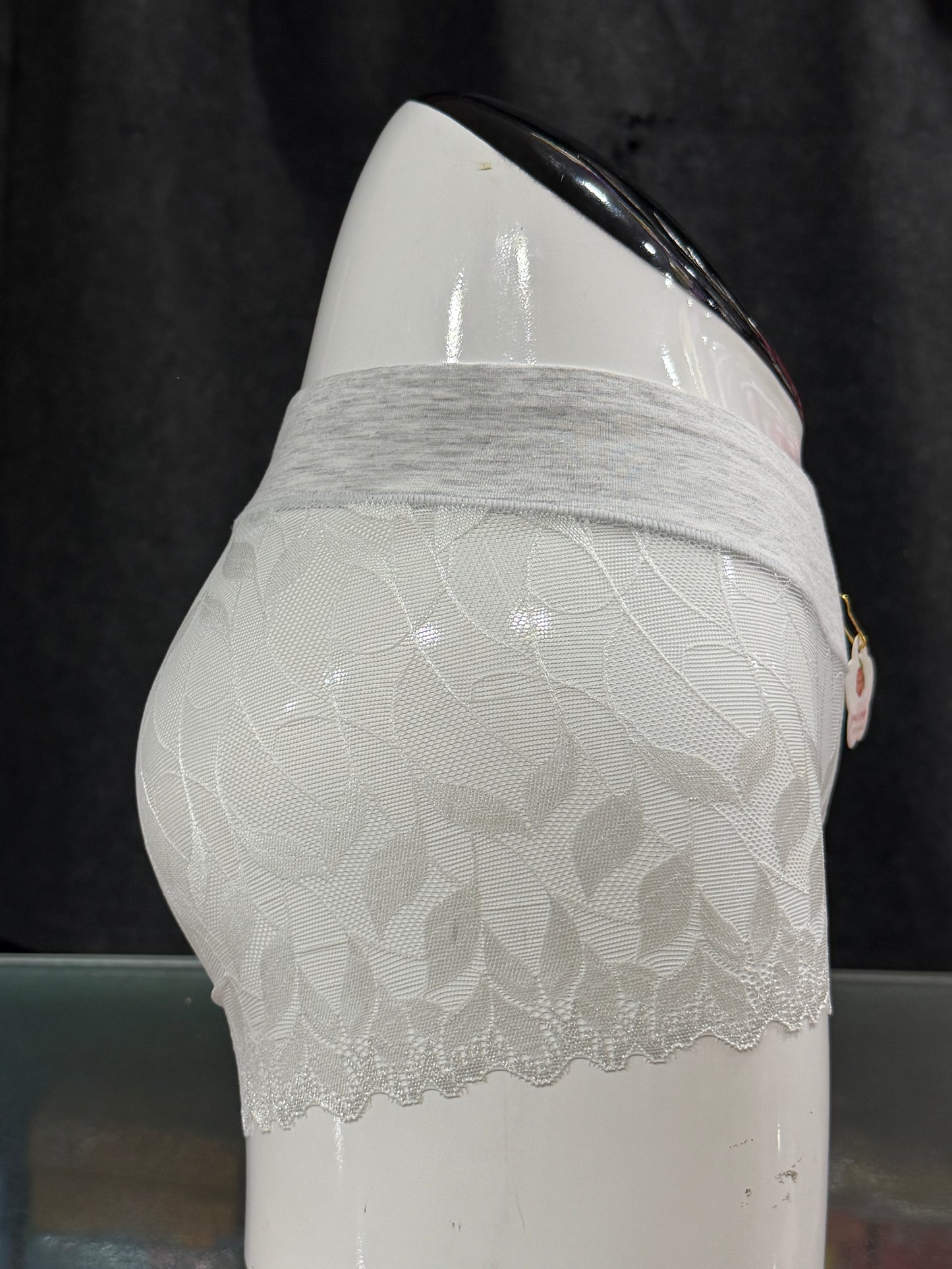 NETTED PANTY - FULLY TRANSPARENT - FULL BRIEF - GREY COLOUR
