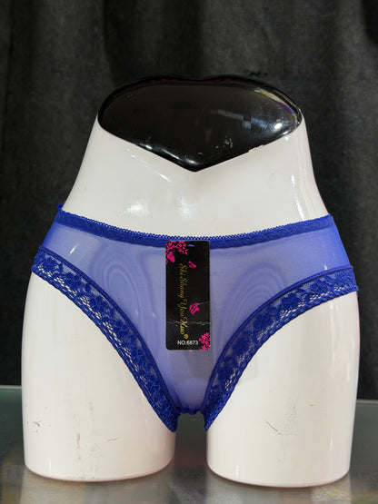 NETTED PANTY - FULLY TRANSPARENT - BLUE COLOUR