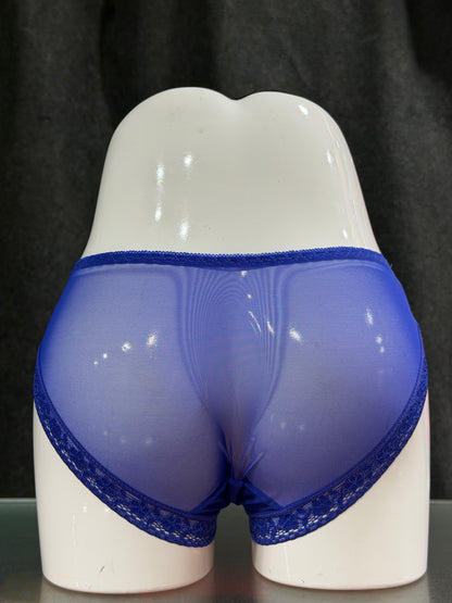 NETTED PANTY - FULLY TRANSPARENT - BLUE COLOUR