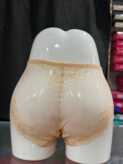 FULLY NETTED PANTY - TRANSPARENT - FULL BRIEF - SKIN COLOUR -LACE