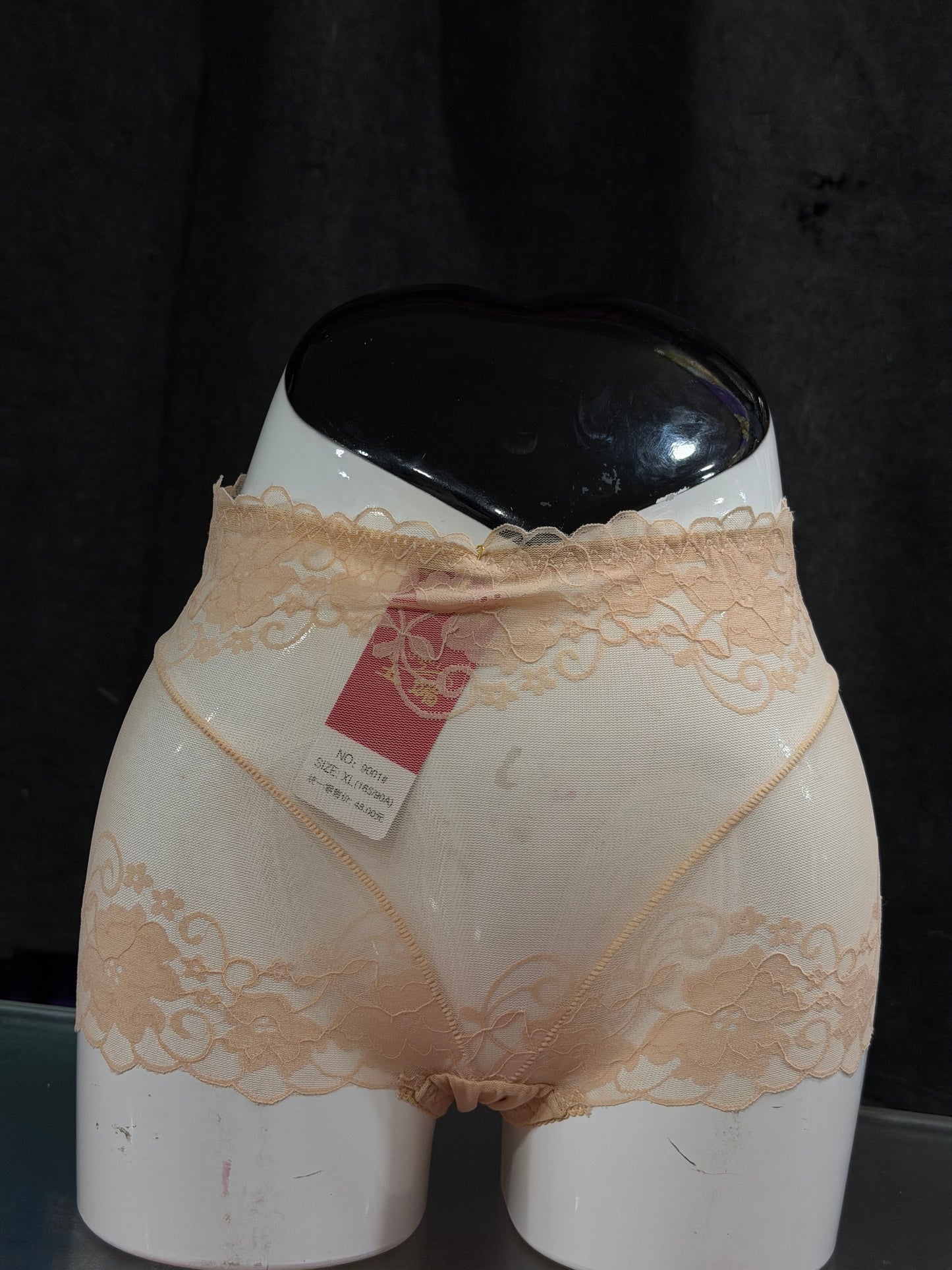 FULLY NETTED PANTY - TRANSPARENT - FULL BRIEF - SKIN COLOUR -LACE