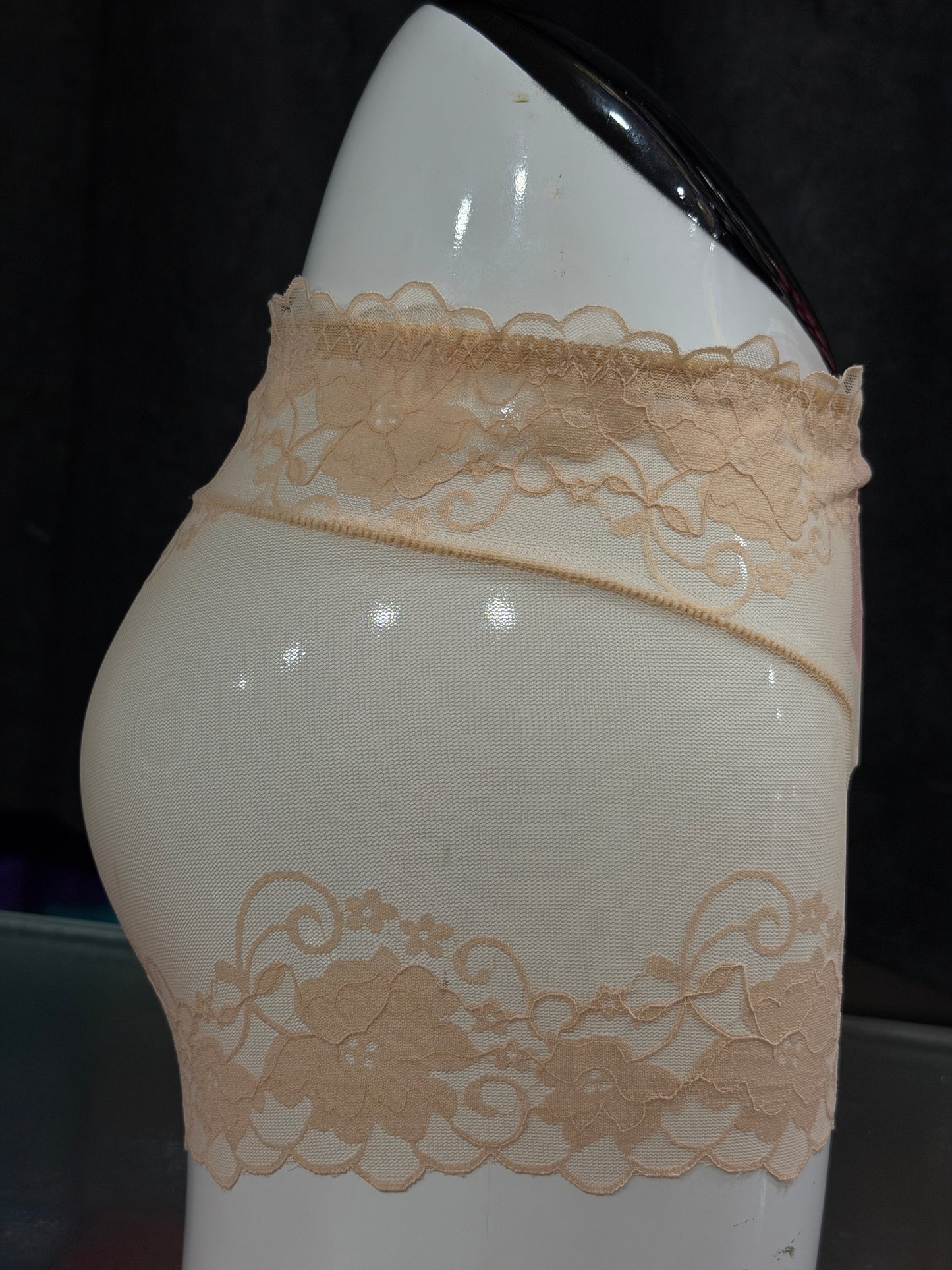 FULLY NETTED PANTY - TRANSPARENT - FULL BRIEF - SKIN COLOUR -LACE